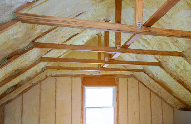 Best Cellulose Insulation in Kempner, TX