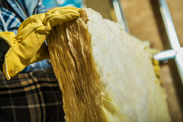 Best Insulation Maintenance and Repair in Kempner, TX